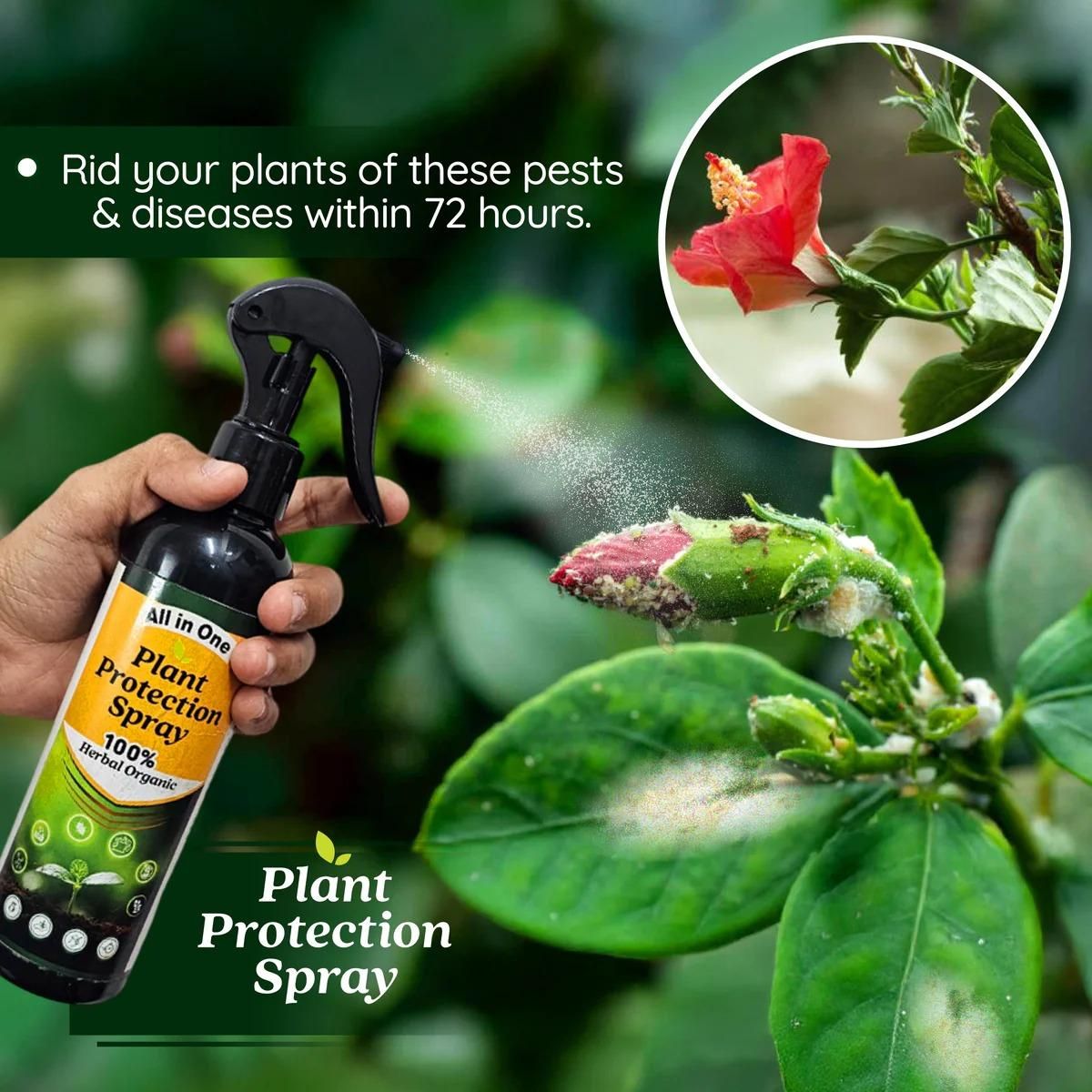 All in One Plant Protection Spray (Buy 1 Get 1 Free )